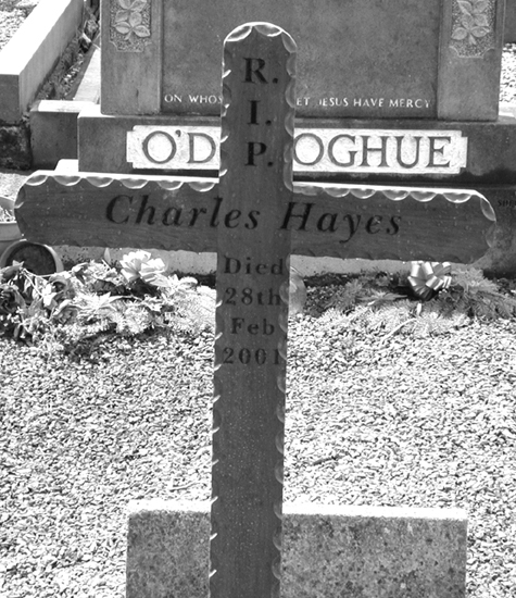 Hayes, Charles.jpg 202.6K